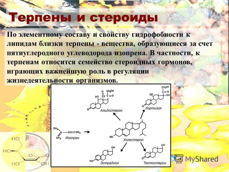 простые липиды классификация. неомыляемые липиды: терпены и стероиды. органические вещества белки жиры углеводы химия 9 класс. органические вещества липиды. строение липидов биология 10 класс.