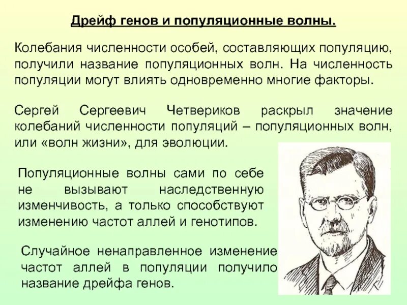 Причина случайных изменений генов. Популяционные волны и дрейф генов. Волны жизни и дрейф генов. Изоляция дрейф генов.