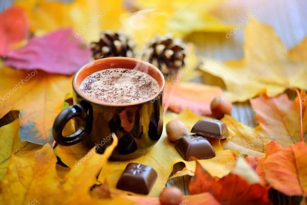 Осень горячий кофе. Осень кофе шоколад. Осенний кофе и шоколад. Горячего шоколада с осенними листьями. Осень фрукты шоколад кофе.