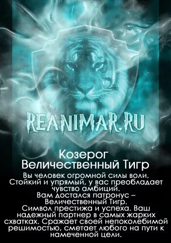 Козерог тигр. Тигрица и лев вместе. Козерог тигр. Гороскоп тигр козерог мужчина. Байрирон демон овен.