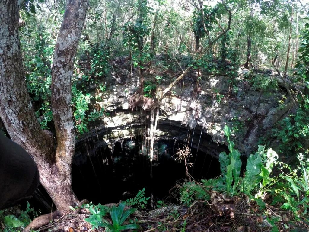 Вертикальная пещера затоплена водой можно найти уровень. Каноэ Майя. Золото из сенота Чичен ицы. Археологические находки Мексика. Затопленный город Майя.