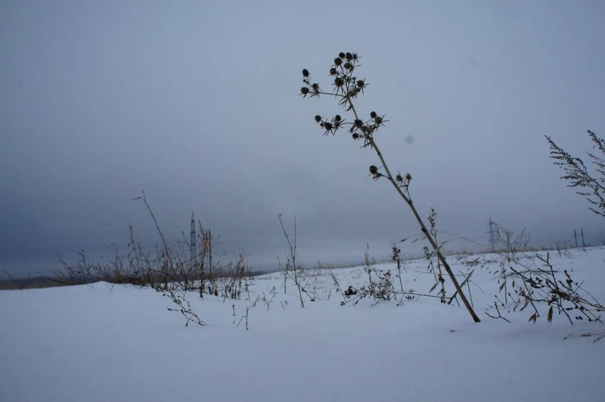 Зимняя степь Оренбург. Оренбургская степь зимой. Донская степь зимой. Снег в степи.