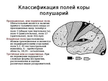 Классификация полей