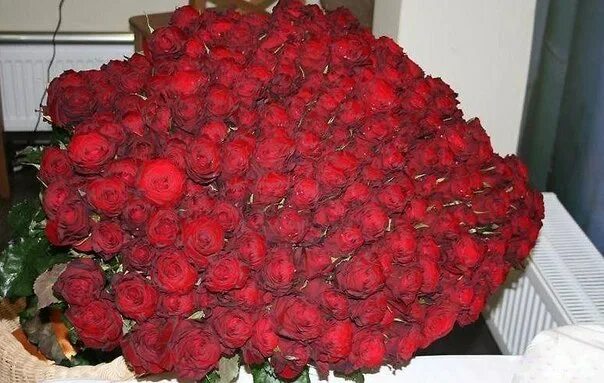 Permanently closed: Dolina Radosti, flowers and bouquets delivery, Tula Region,