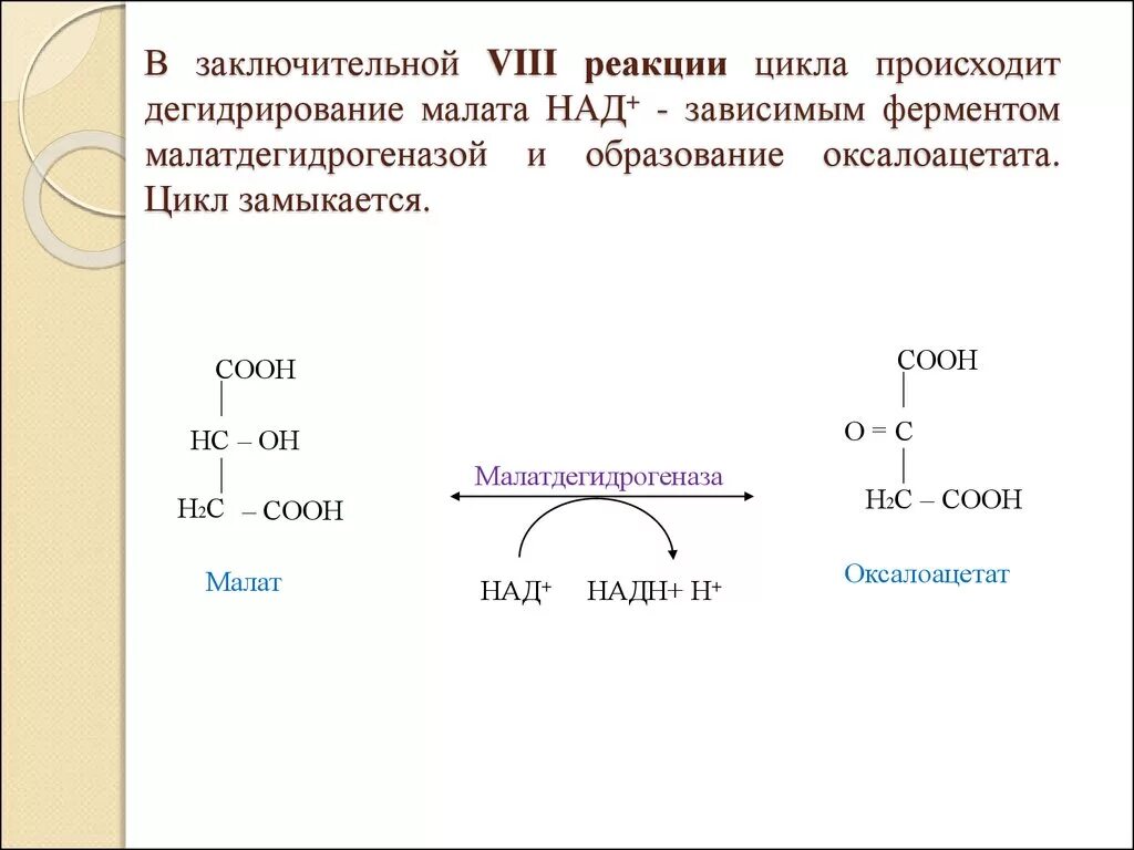 Дегидрогеназы реакции. НАДН-зависимые реакции. Реакции с над+. Реакция окисления малата. Действие вместо реакции