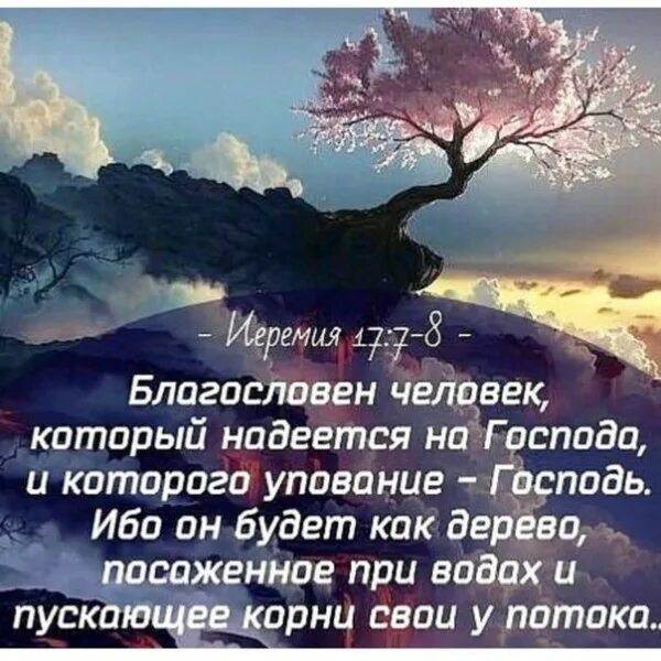 Проклят надеющийся. Упование на Господа Бога. Библейские стихи. Христианские открытки с Цитатами из Библии. Христианские стихи из Библии.