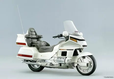Wing 1500