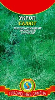 Помидоры семенами укропа