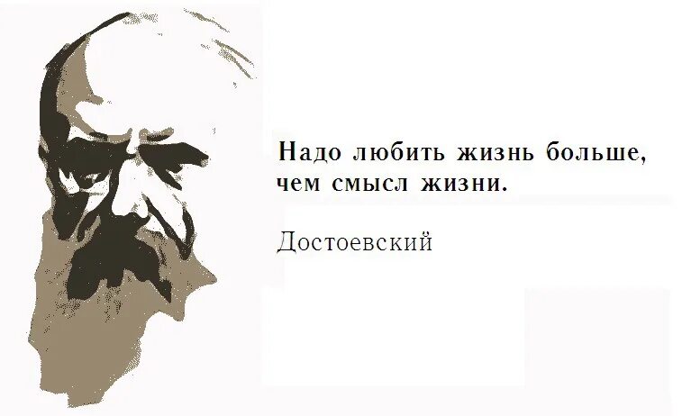 Надо любить жизнь больше чем смысл жизни Достоевский. Высказывания Достоевского о жизни. Надо любить жизнь больше чем смысл. Нужно любить жизнь больше чем смысл жизни. Смысл жизни отзывы