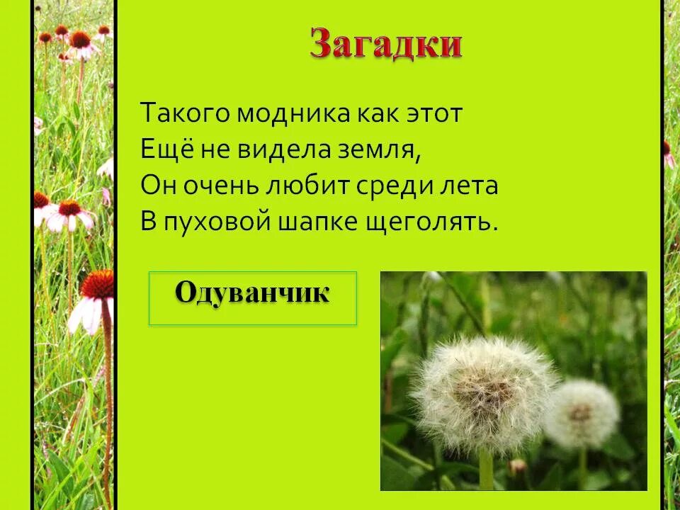 Загадка про луг