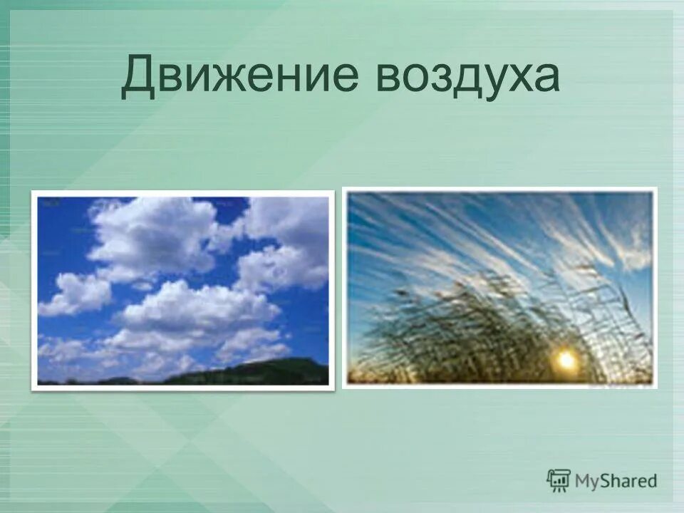 Роль дождя в жизни растений и животных. Движение воздуха. Ветер это движение воздуха. Воздух для детей. Презентация движение воздуха.