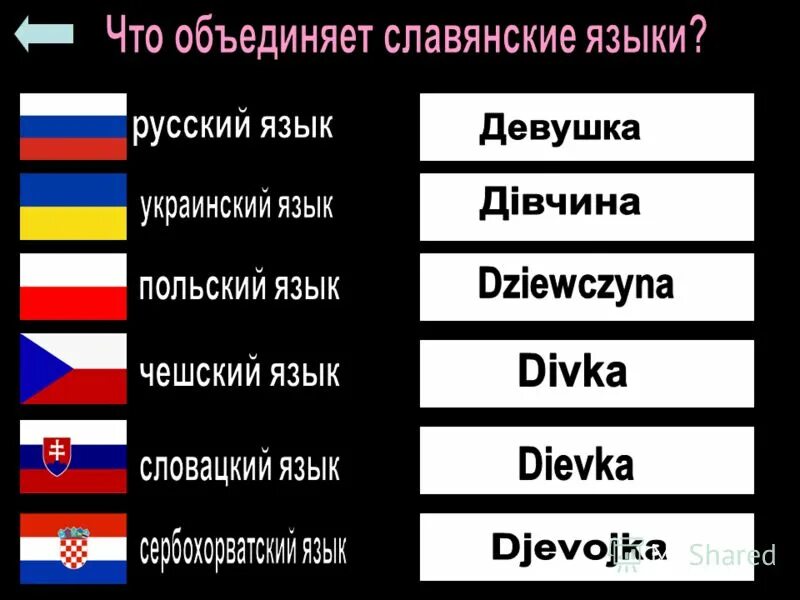 Славянские языки. Страны со славянскими языками. Украинский язык. Что объединяет славянские языки. На каком языке разговаривают народы