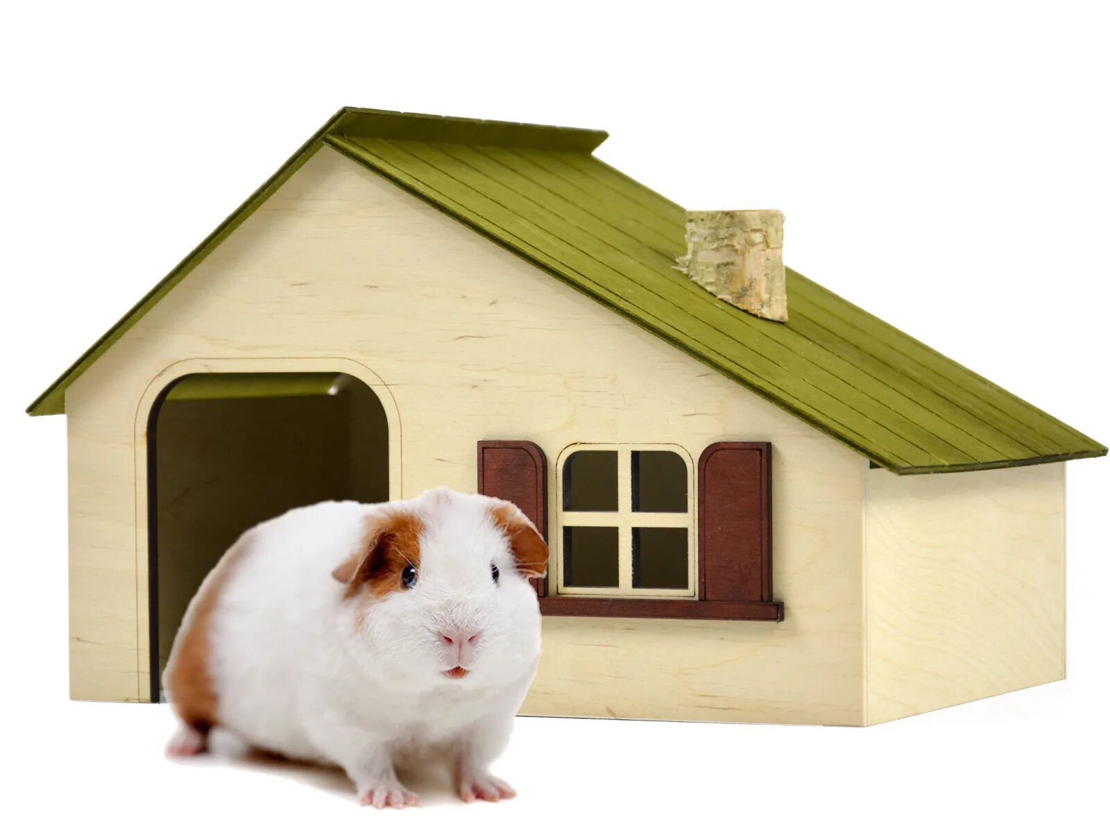 Домик кролика. Деревянный домик для кролика. Домик для кролика декоративного. Картонный домик для кролика.