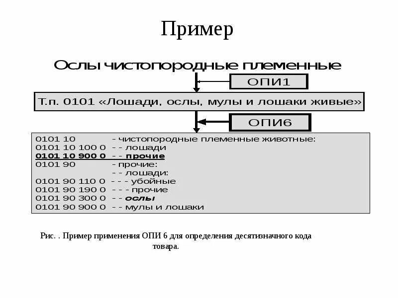 Китайские коды тн вэд. Опи основные правила интерпретации. Опи тн ВЭД С примерами. ТНВЭД коды что это. Структура кода товара тн ВЭД.