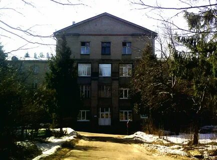 Дорохово кожино