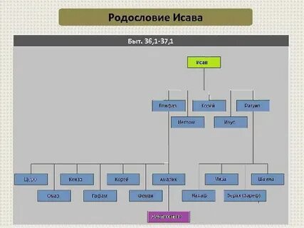 Древо 12