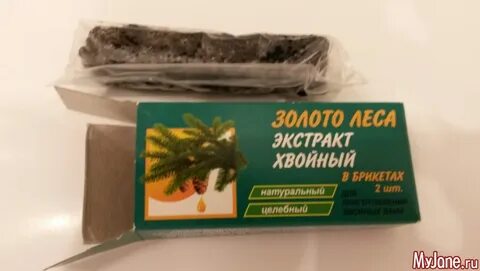 Золото леса