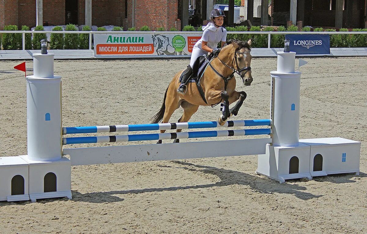чухонец барьер в конкуре. чухонец барьер в конкуре. препятствия для конкура. барьеры для конкура. барьеры для конкура.