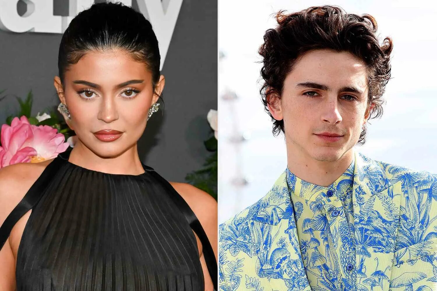 Тимоти Шаламе Кейли дженефер. Тимоти Шаламе и Кендалл Дженнер. Kylie Jenner and Timothee Chalamet. Шаламе и дженнер расстались