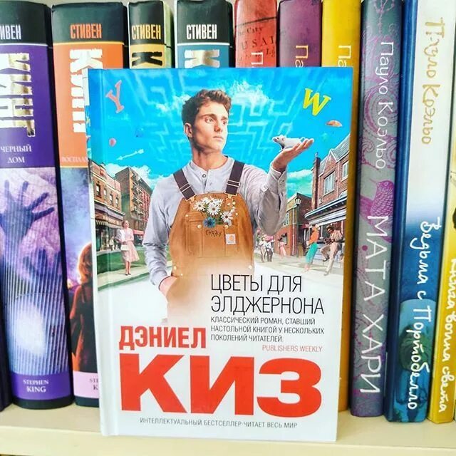 Элджернон чарли и я. Элджернона книга. Цветы для Элджернона. Цветы для Элджернона книга. Дэниел киз цветы для Элджернона.