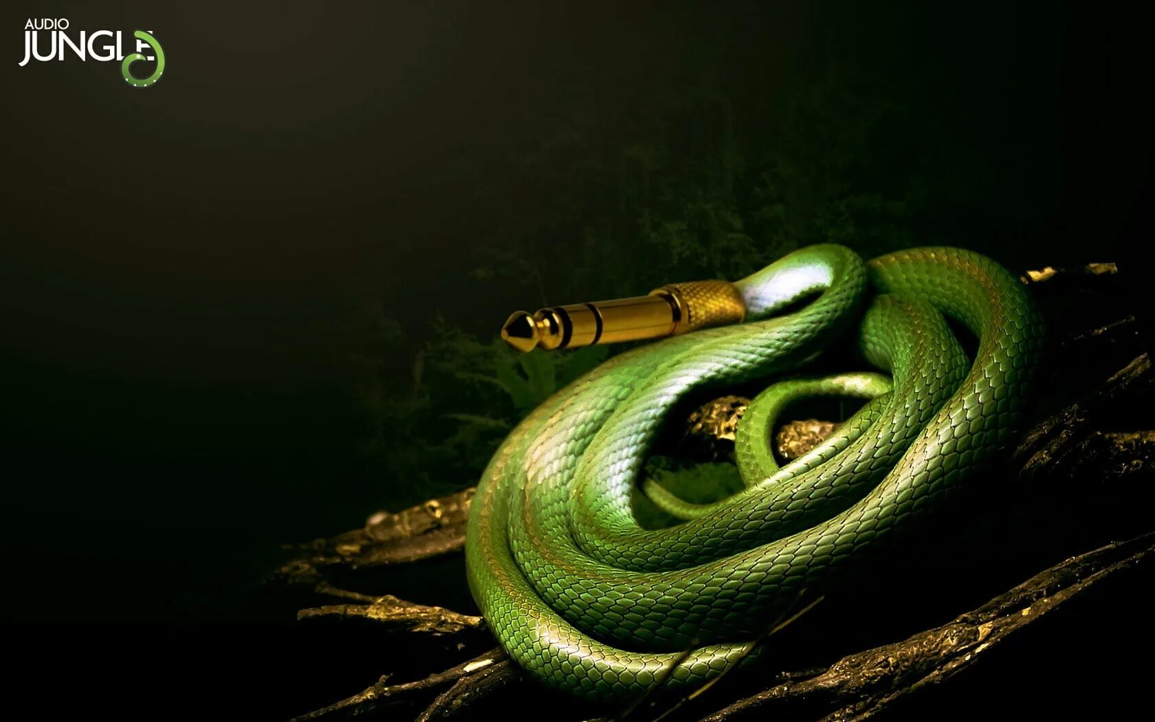 Music snake. Зелёная мамба змея. Змея арт. Змеи на рабочий стол. Зеленая змея арт.