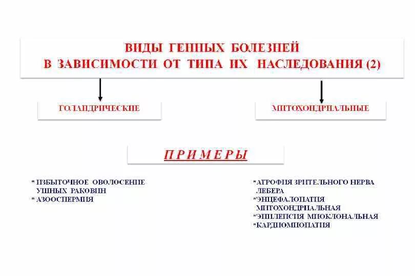 Ген заболевания. Типы наследования болезней. Типы наследования наследственных болезней. Типы наследования генетических заболеваний. Классификация наследственных заболеваний по типам наследования.