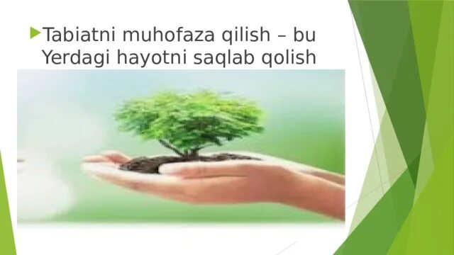 Tabiatni asrash haqida rasmlar. Табиатни асранг. табиатни асранг иншо. tabiatni asraylik. ona tabiatni asrang.