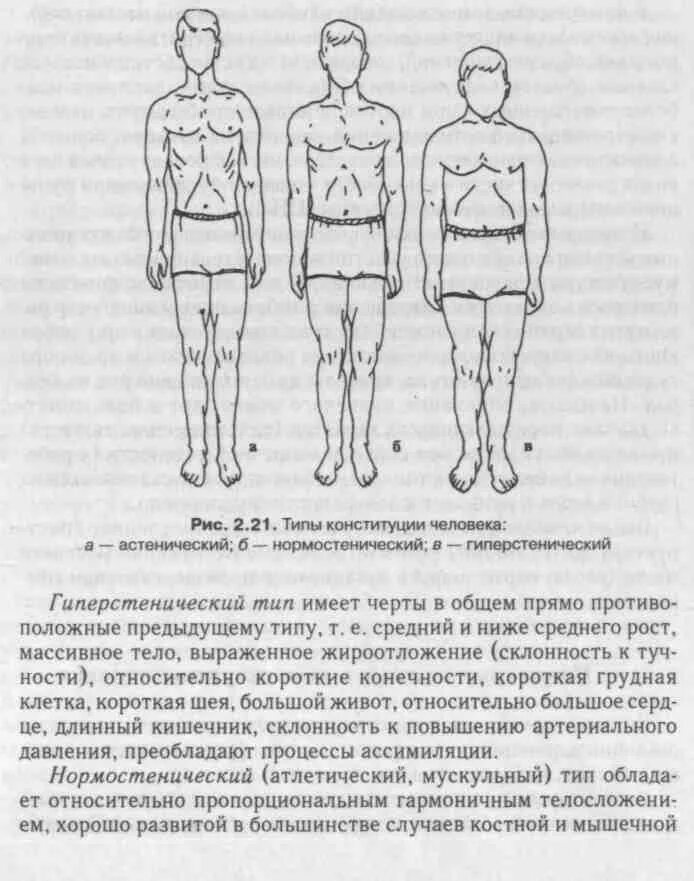 Сильная половая конституция. Типы Конституции тела человека астеник. Грудная клетка у астеников. Реберный угол Тип телосложения. Оценка Конституции человека нормостенический гиперстенический.