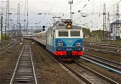 65 26