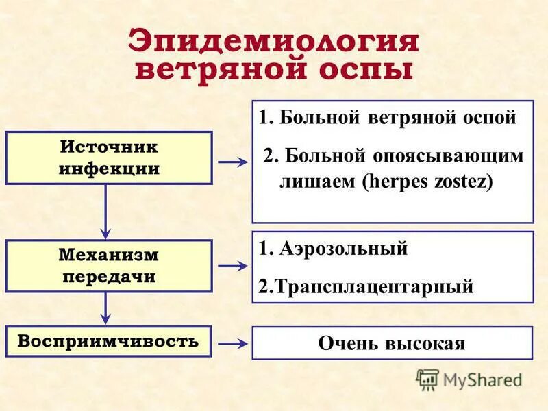 Патогенез оспы. Ветряная оспа механизм передачи. патогенез ветряной оспы схема. оспа источник заражения. ветряная оспа пути передачи инфекции.