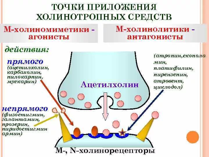 Пример точки приложения