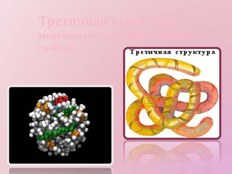 Структура белка представленная глобулой. Третичная структура глобула. Третичная структура белка. Третичная структура белка представляет собой. Третичная структура белка глобула.