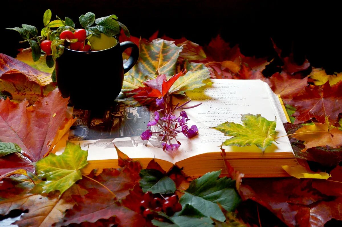 Осенний вечер октября. Осень поэзия. Уютного осеннего вечера. Осенний вечер. Осенние листья вечером.