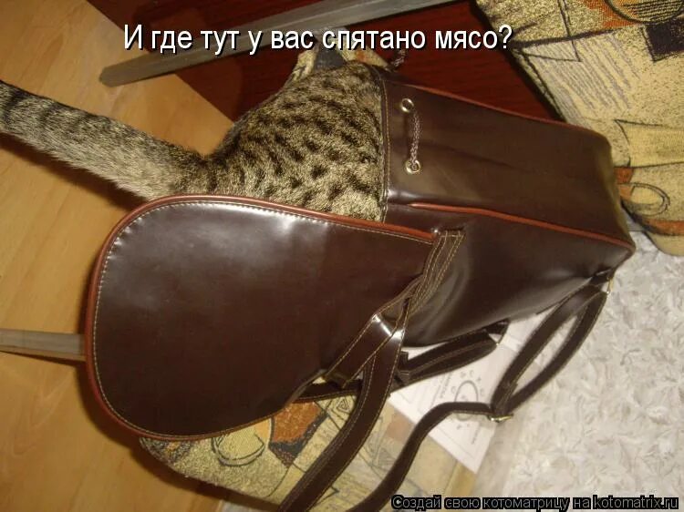 искать найти и перепрятать. открытка сталкер. открытка бороться искать найти и перепрятать. сталкер поздравление с др. бороться и искать найти и перепрятать.