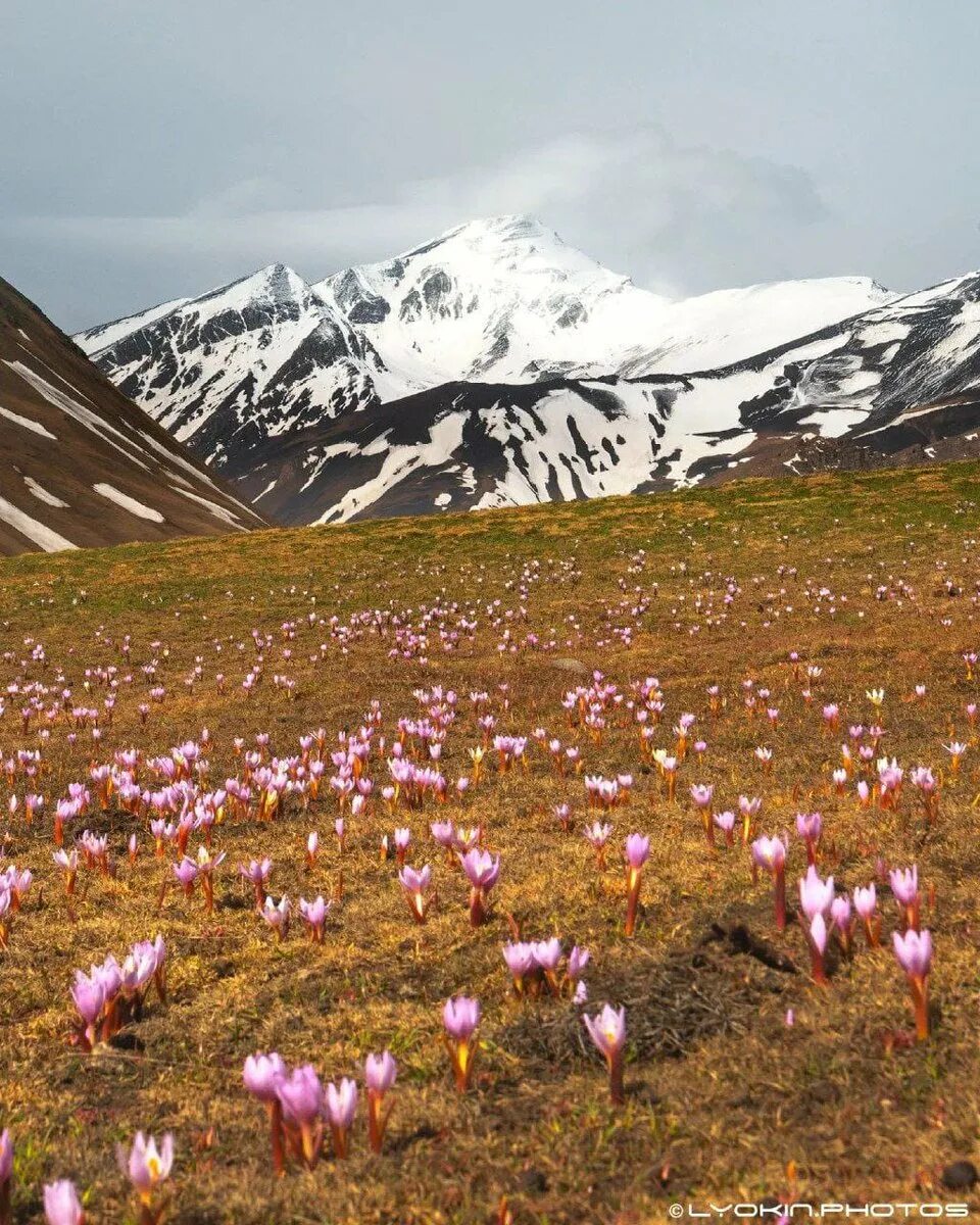 Подышите целебным горным воздухом. Шахдаг (гора). Шахдаг Кусары. Азербайджан горнолыжный курорт Шахдаг. Шахдаг летом.