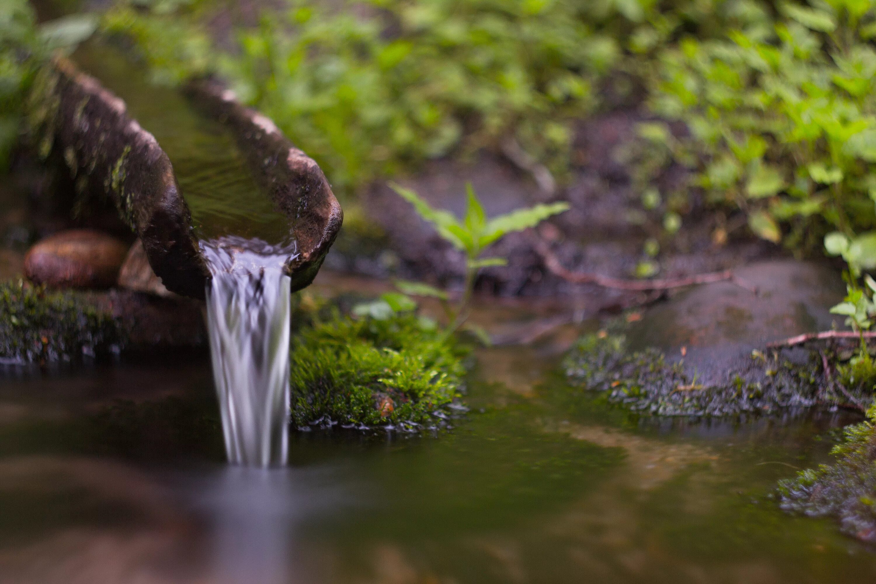 Растительный источник воды. Источник воды. Вода ручей. Чистый ручей вода. Источник воды река.