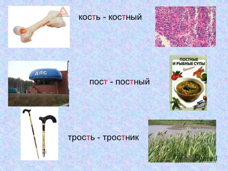 Костный как пишется правильно. Костный как пишется правильно. Костный как пишется правильно. Костный как пишется правильно. Костный как пишется правильно.