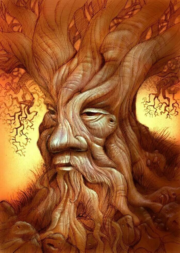 Картинки лицо дерево. Дух дерева. Леший дерево. Дух дерева живопись. Дерево с лицом арт.