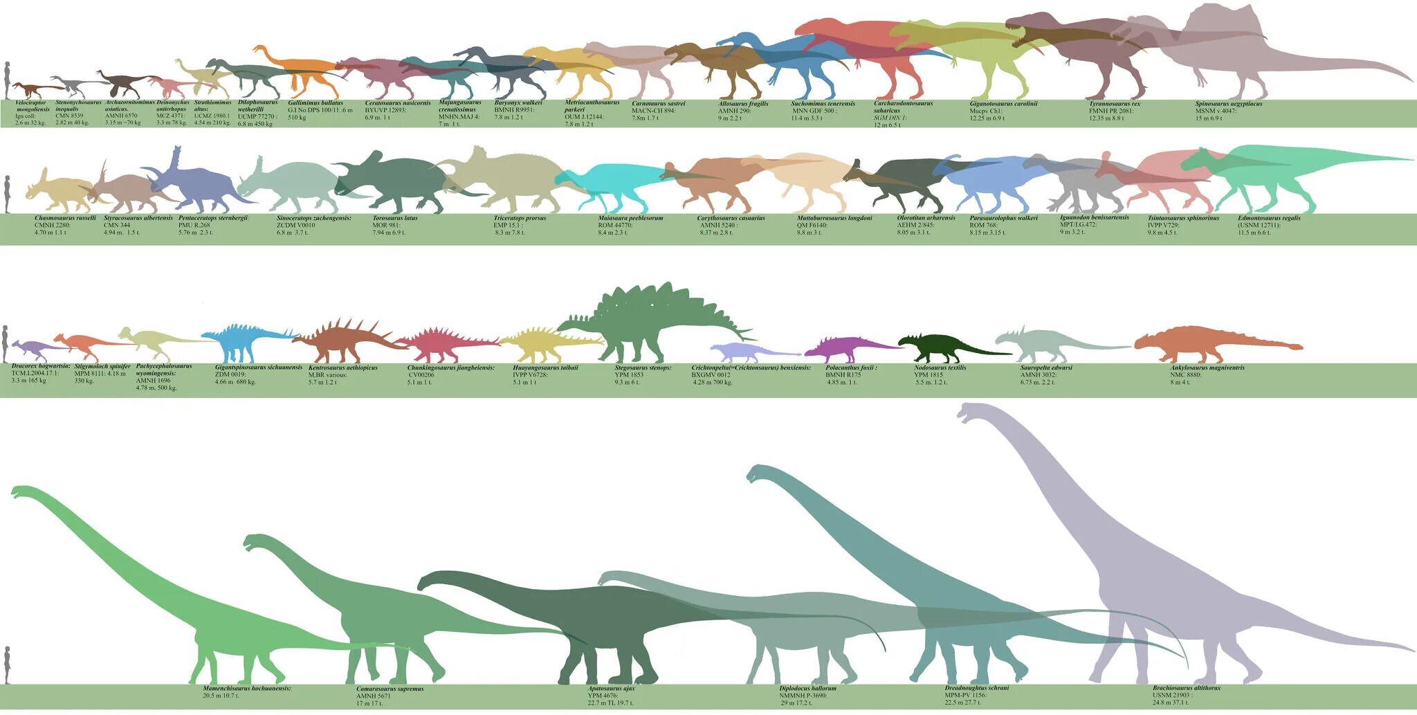 Динозавры развитие. Диплодок Брахиозавр Спинозавр. Диплодок и Тиранозавр. Мир Юрского периода размер динозавров. Эволюция динозавров.