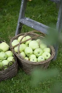 Des pommes