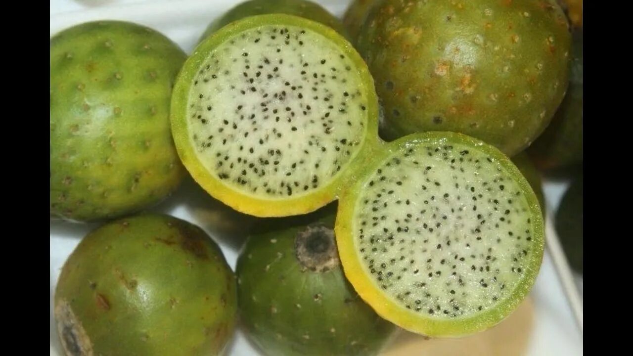 Шамам фрукт. Corryocactus brevistylus. шарообразный фрукт. фрукт снаружи зеленый внутри красный. агуахе фрукт.