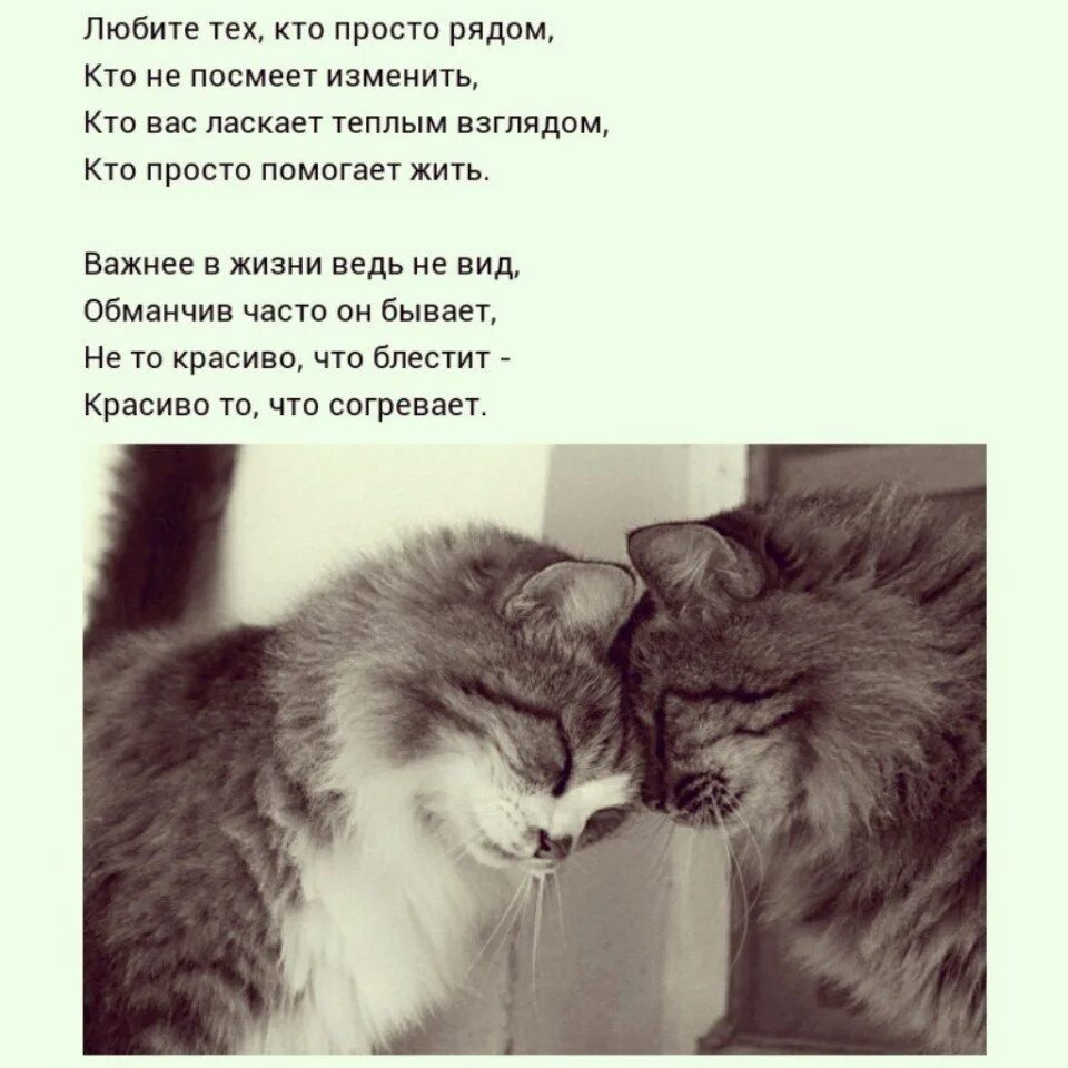 Любите тех кто просто рядом. Стих любите тех кто просто рядом. Любите тех кто просто рядом кто стих. Любите тех кто рядом кто не посмеет изменить.