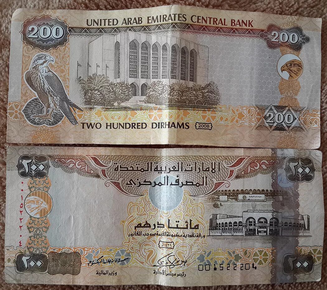 Курс дирхама к рублю в банке. Дирхам ОАЭ банкноты. Арабские деньги купюры. Банкноты и монеты ОАЭ. Банкноты Дубая.