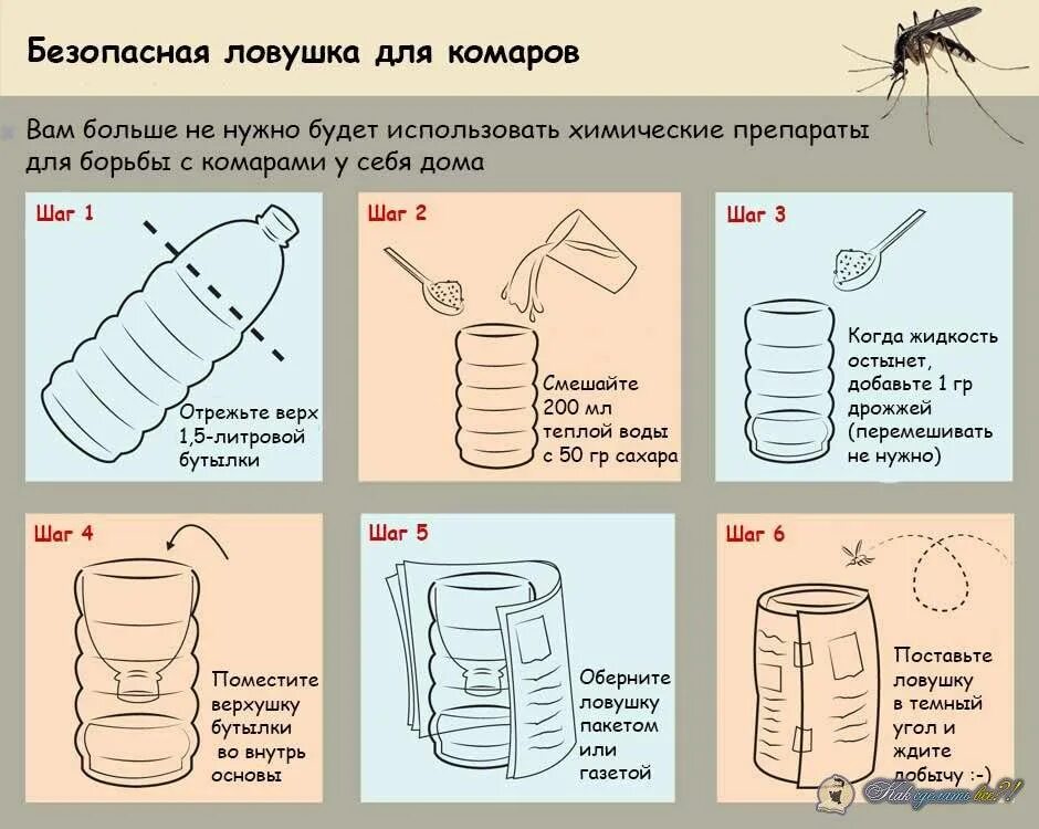 Как поймать комара в комнате. Как поймать комара в комнате