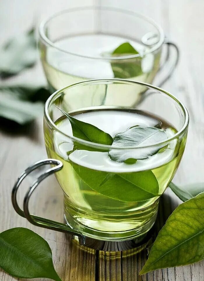 Вреден ли зеленый. Грин Теа. Зеленый чай. Чашка зеленого чая. Зеленый чай Green Tea.