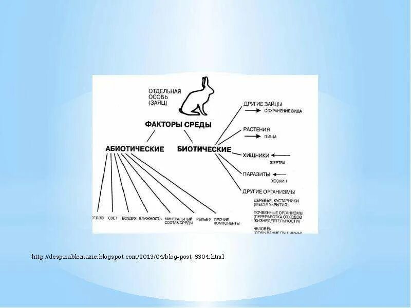 И в другие объекты например. Абиотические факторы среды схема. Действие абиотических факторов схема. Биотические и абиотические факторы среды. Абиотические факторы зайца.