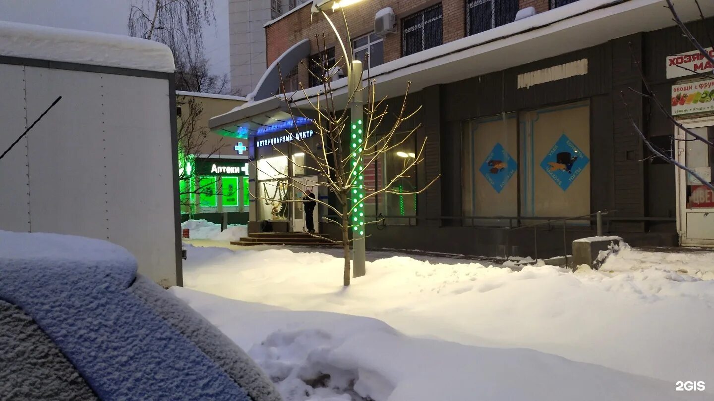 Новаторов 16к1. Ласка новаторов. Ветеринарная клиника ясенево. Ласка зверек ареал. Магические хорьки.