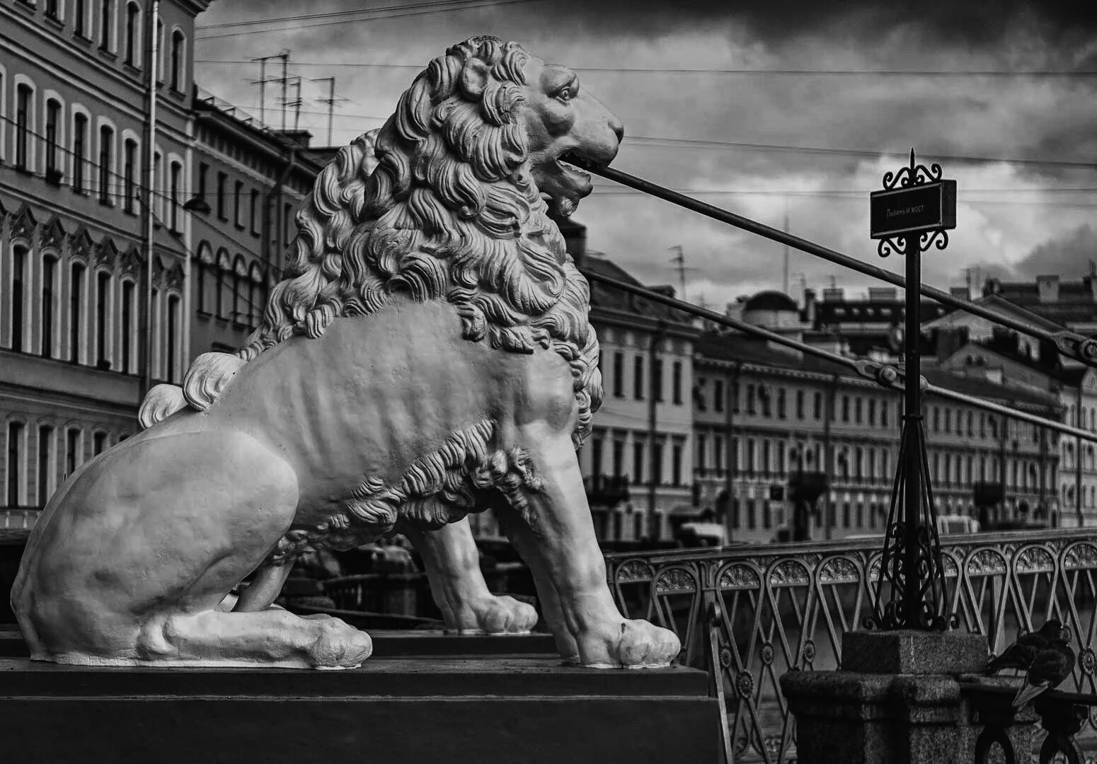 Львиный мостик в санкт петербурге. Львиный мост. львиный мостик галерея санкт-петербург. канал грибоедова львиный мост рисунки. львы у адмиралтейства.