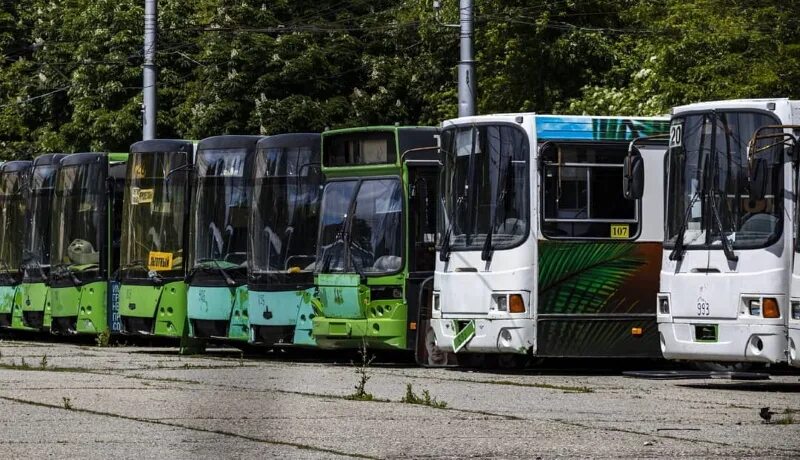 52 автобус ставрополь. Автобусный парк Ставрополь. Списанные автобусы. Автобус Ставрополь. Списанные автобусы МАЗ.