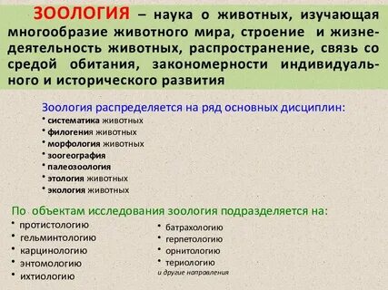Система наук о животных зоология